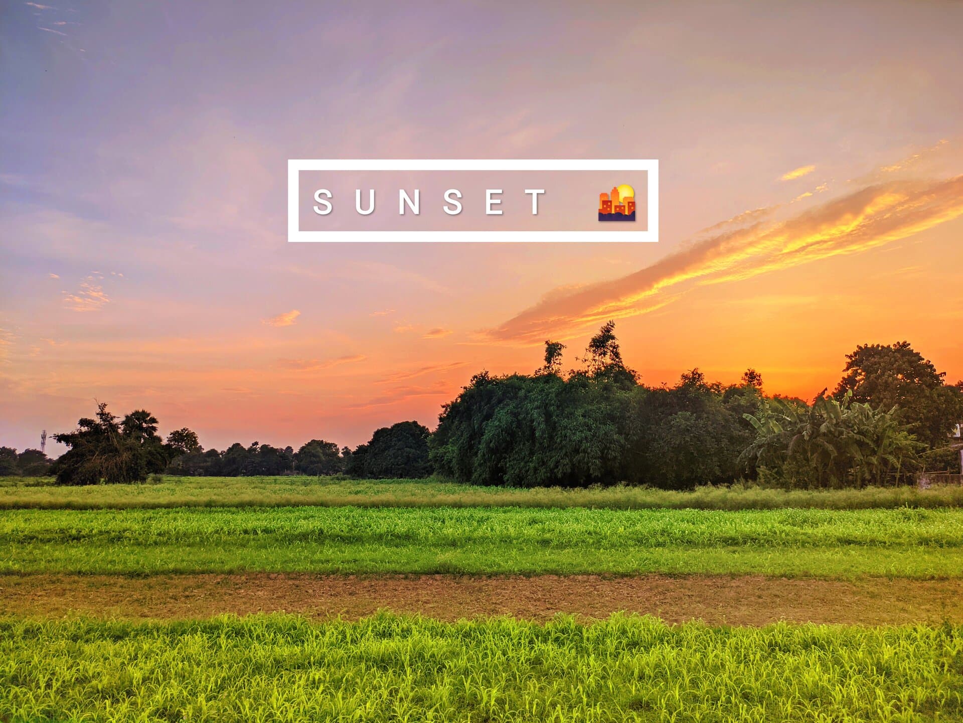 p-2021-07-15-18-31-23-000-1-8SVbyphH