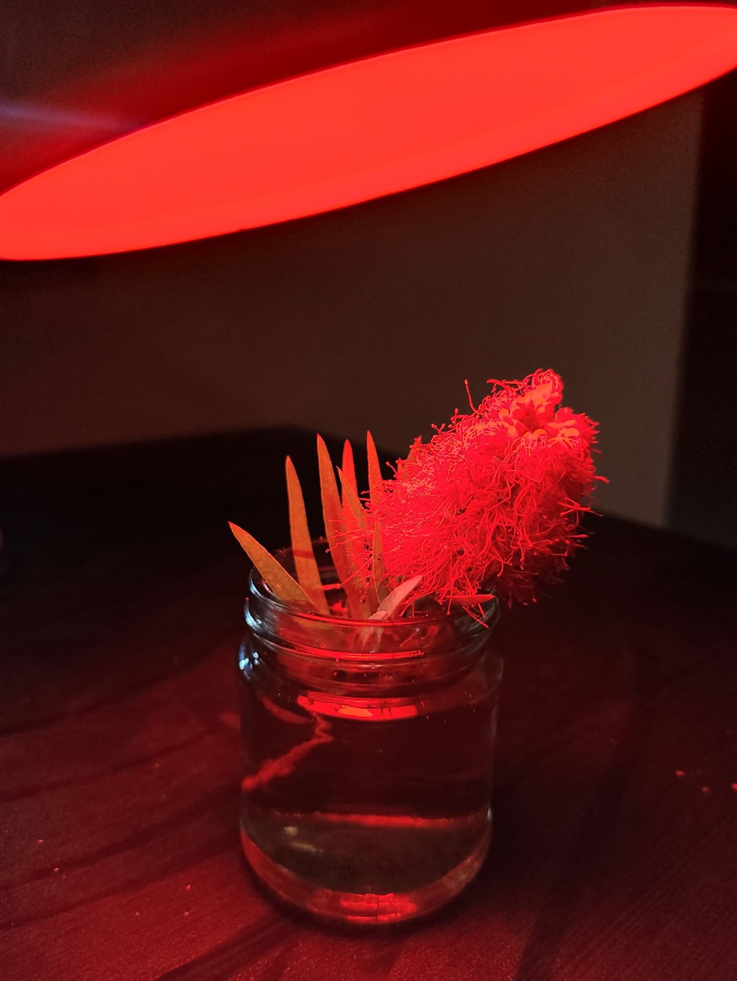 p-2022-03-24-11-15-04-000-1-SyrvIGnS