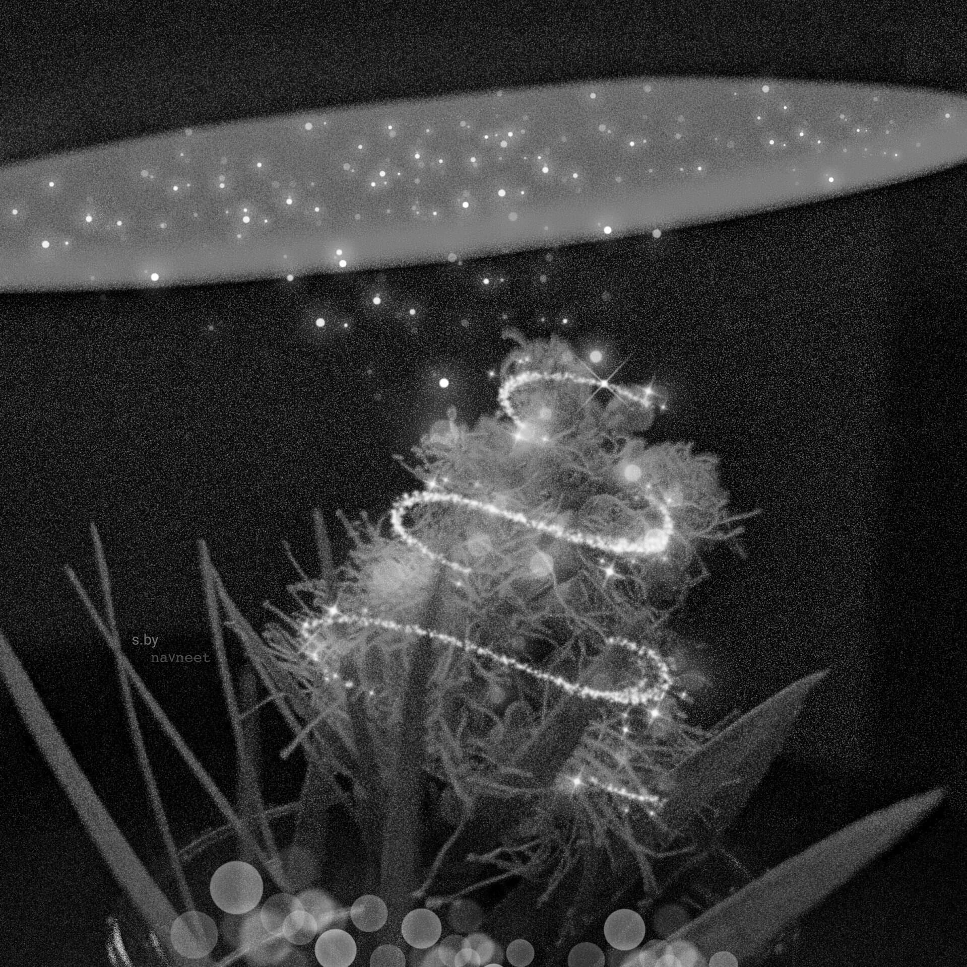 p-2022-03-24-11-19-29-000-1-ogVLhG9E