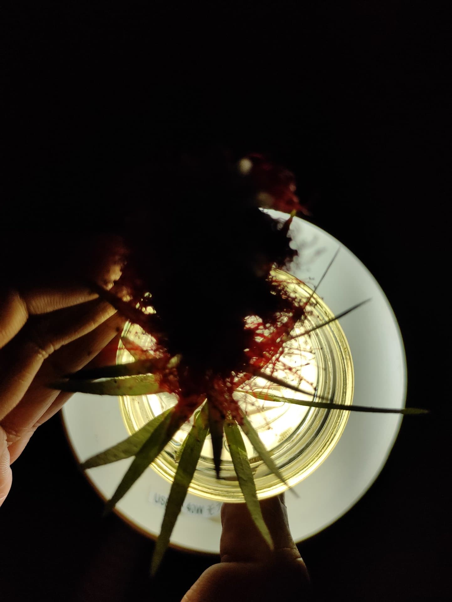 p-2022-03-24-11-24-50-000-1-9Fn8HX3X