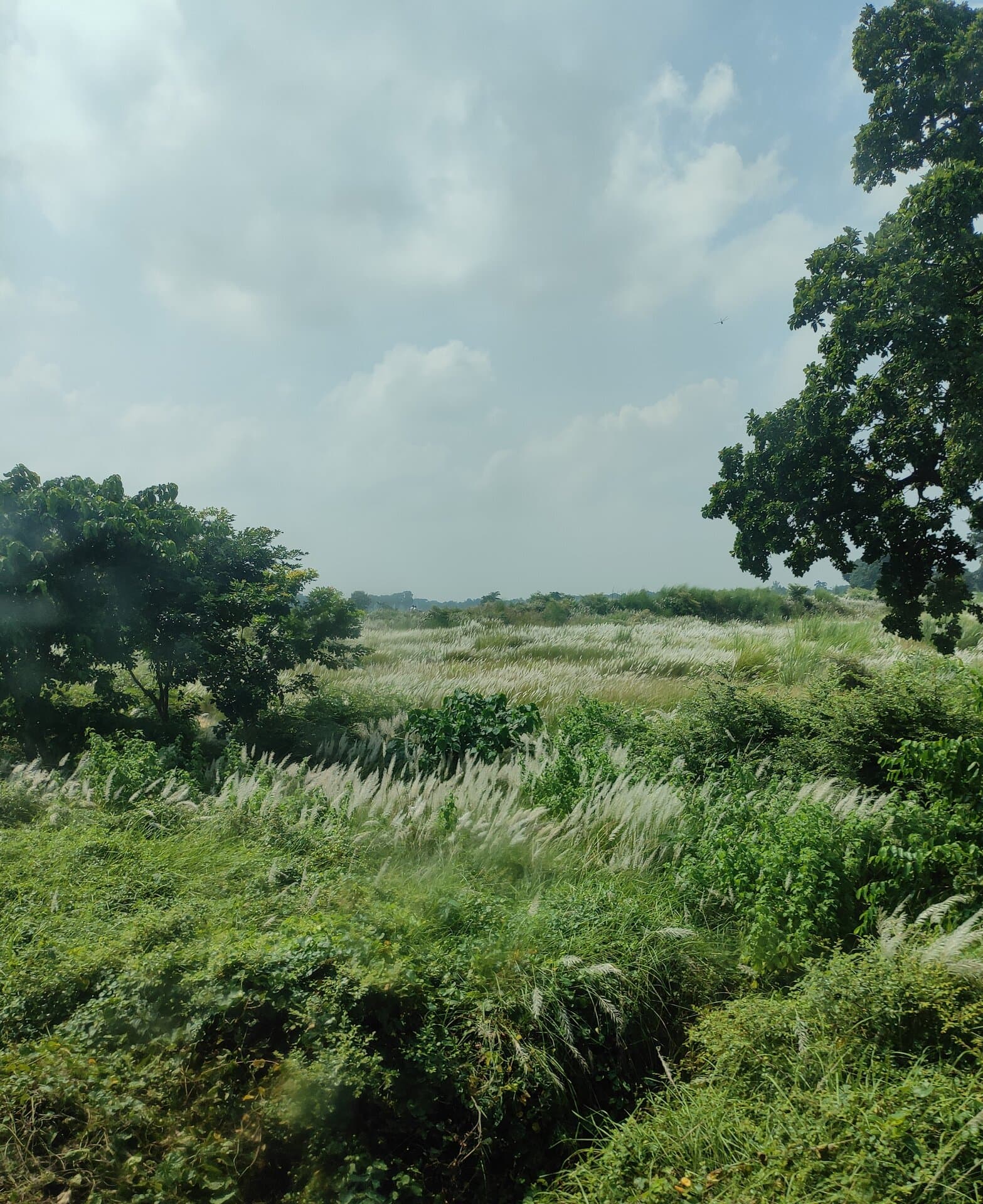 p-2022-09-22-10-33-20-000-1-83KUskBn