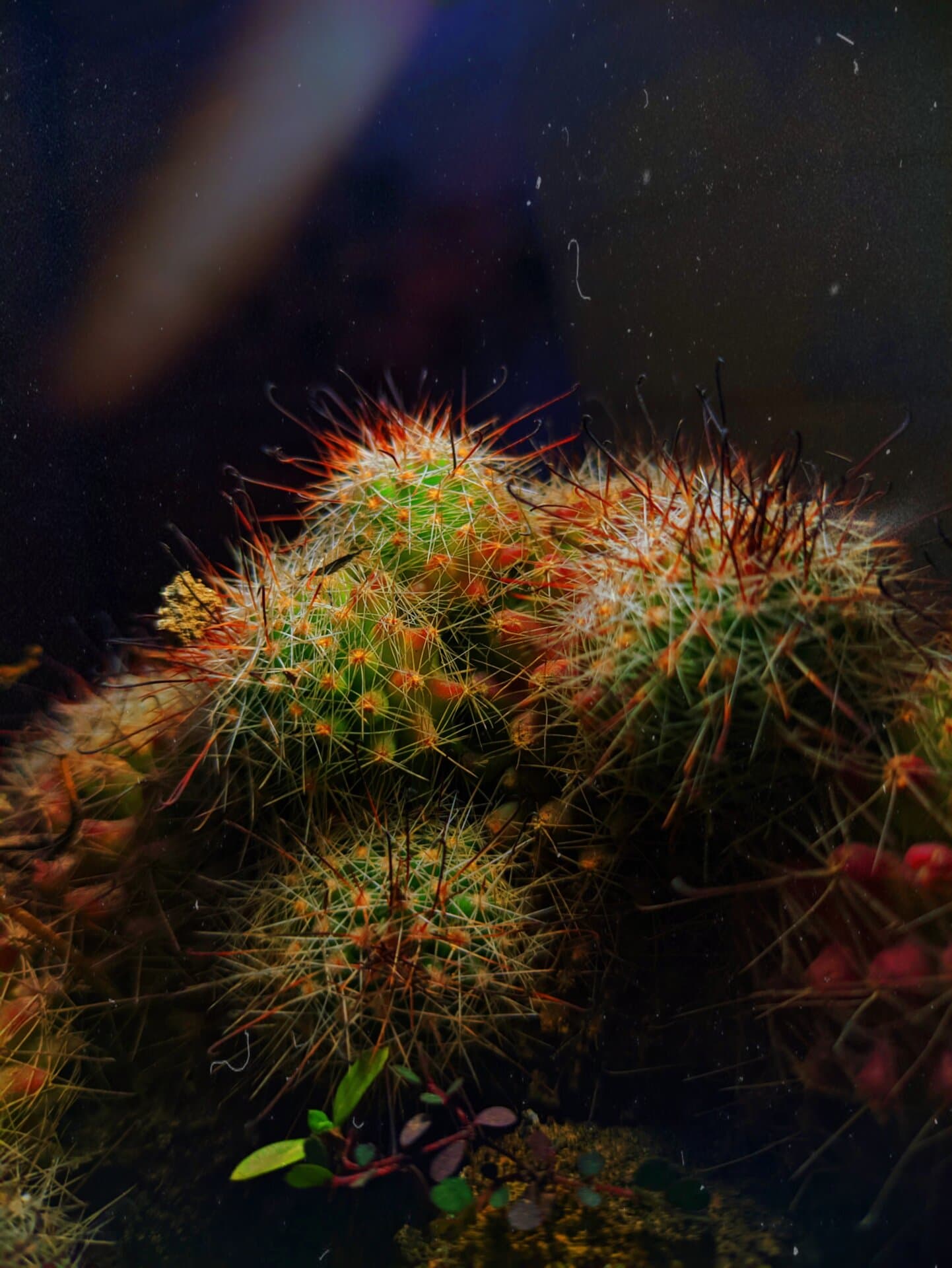 p-2023-02-02-19-18-04-000-1-EGIpFBsK