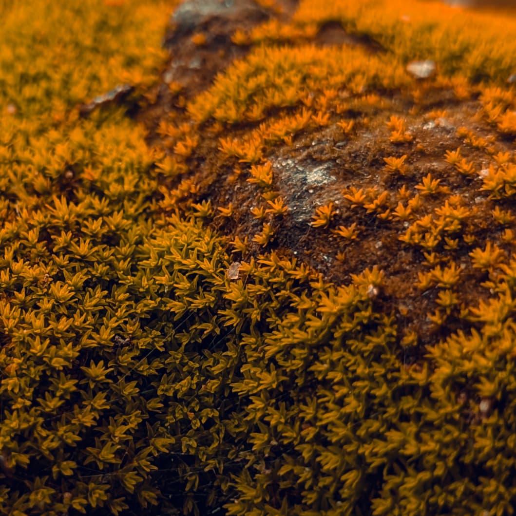 p-2023-02-03-13-31-18-000-1-g9B98Qrq