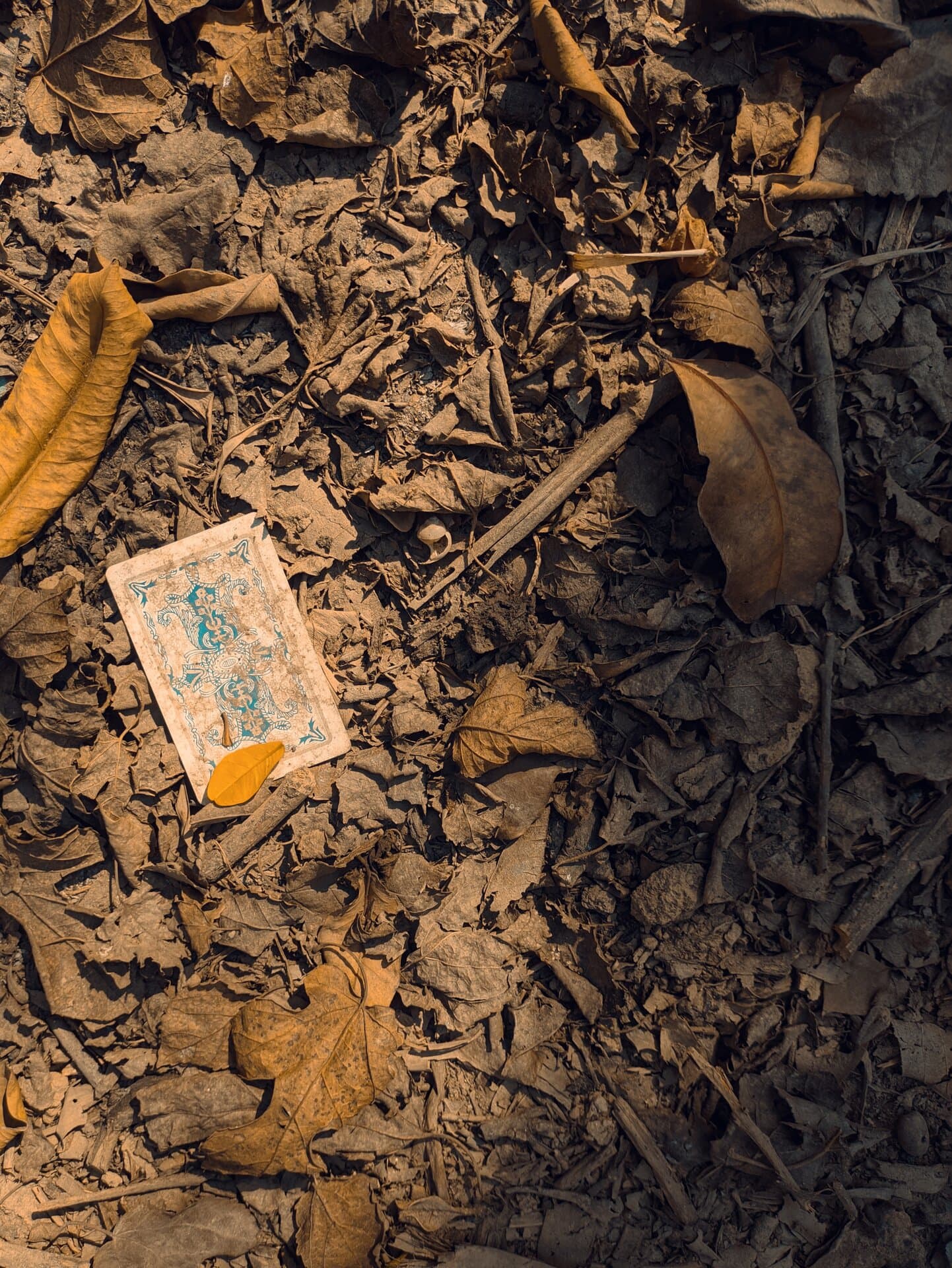 p-2023-02-03-13-33-39-000-1-iK0ir75R