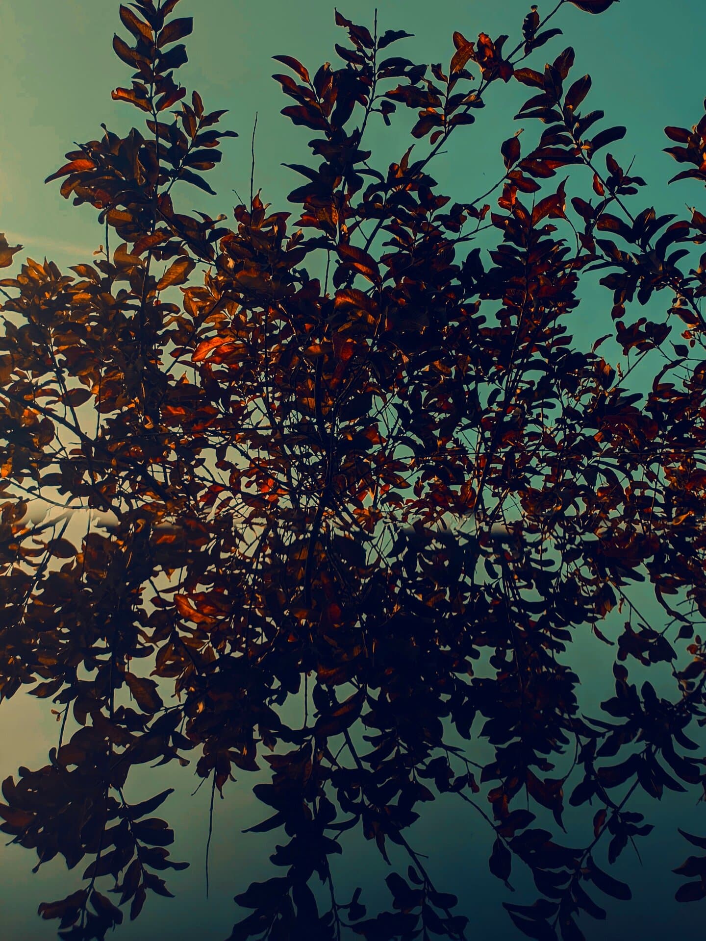 p-2023-02-03-14-09-13-000-1-QZ9XAaT6