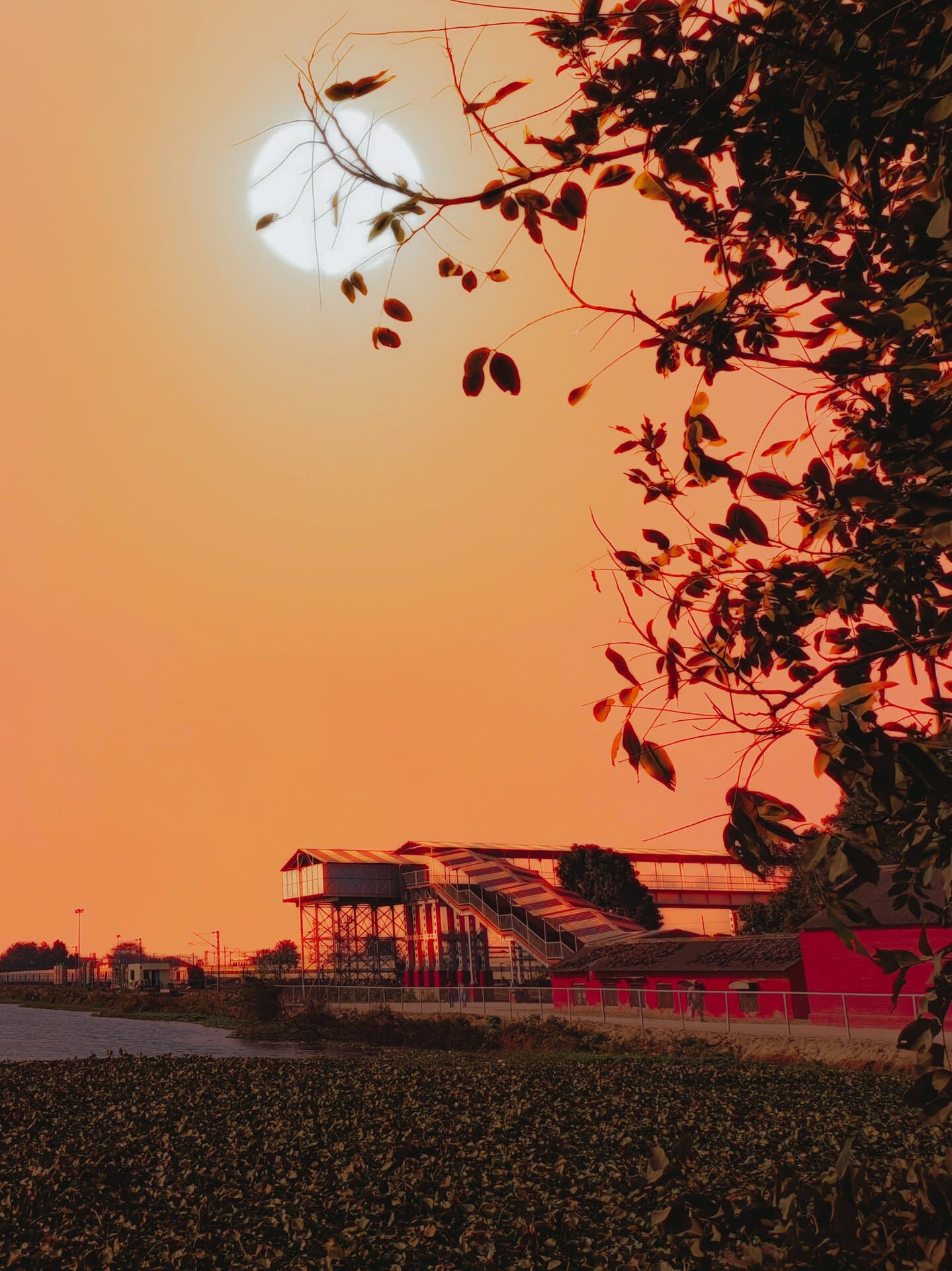 p-2023-02-05-14-53-23-000-1-BRpsdp2j