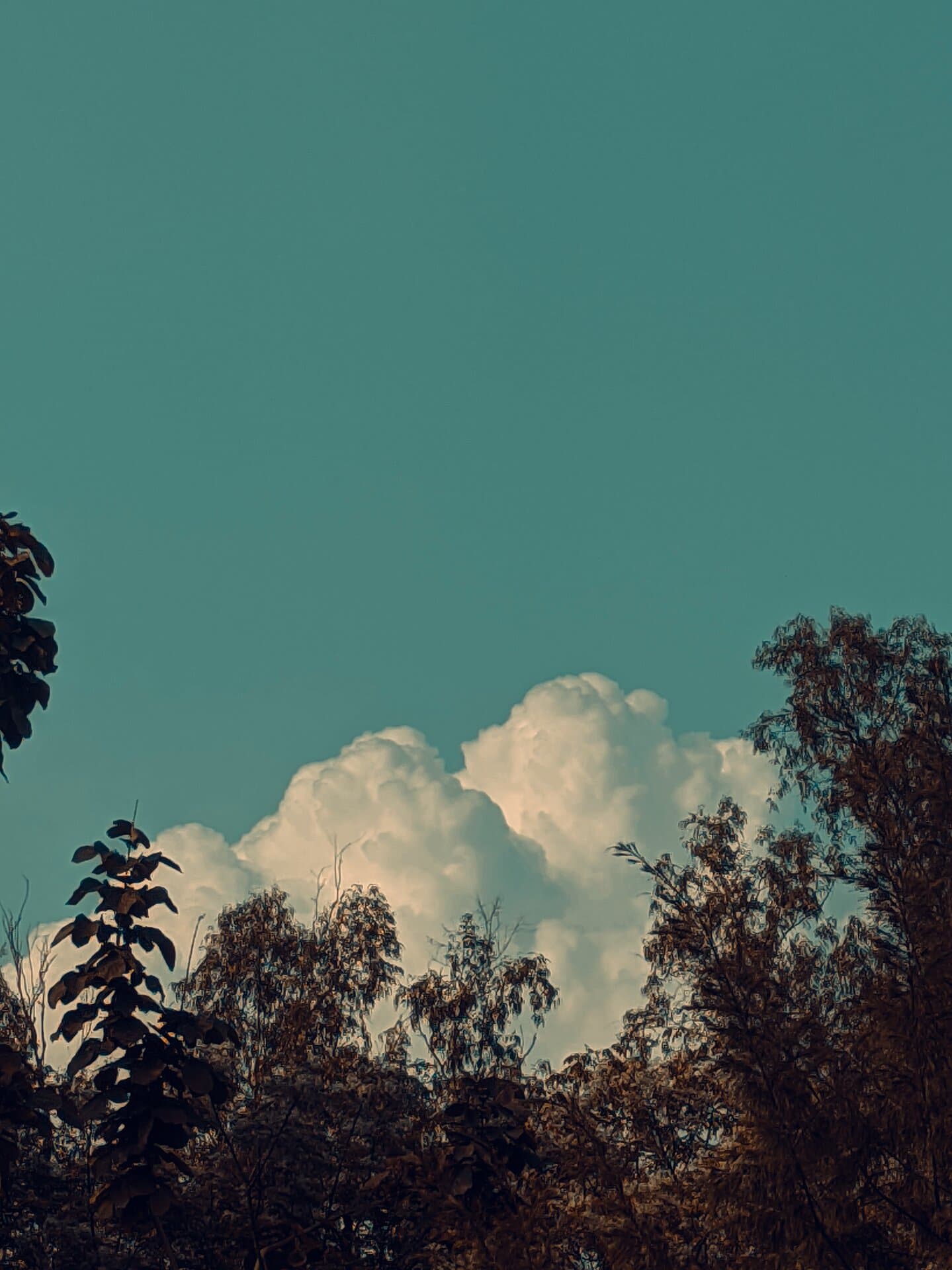 p-2023-03-19-16-13-40-000-1-g7n7QNEq