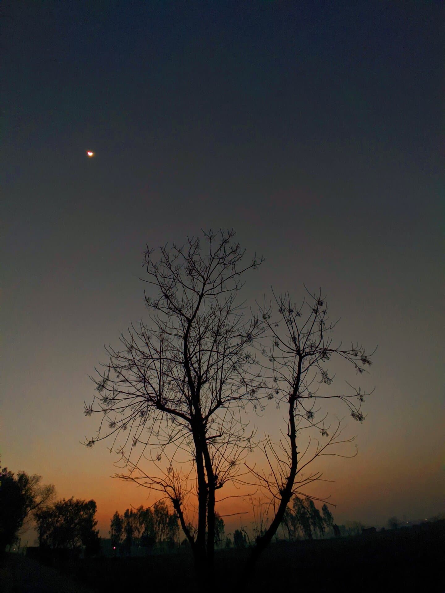 p-2023-07-08-05-54-24-000-1-c2BBrIYo