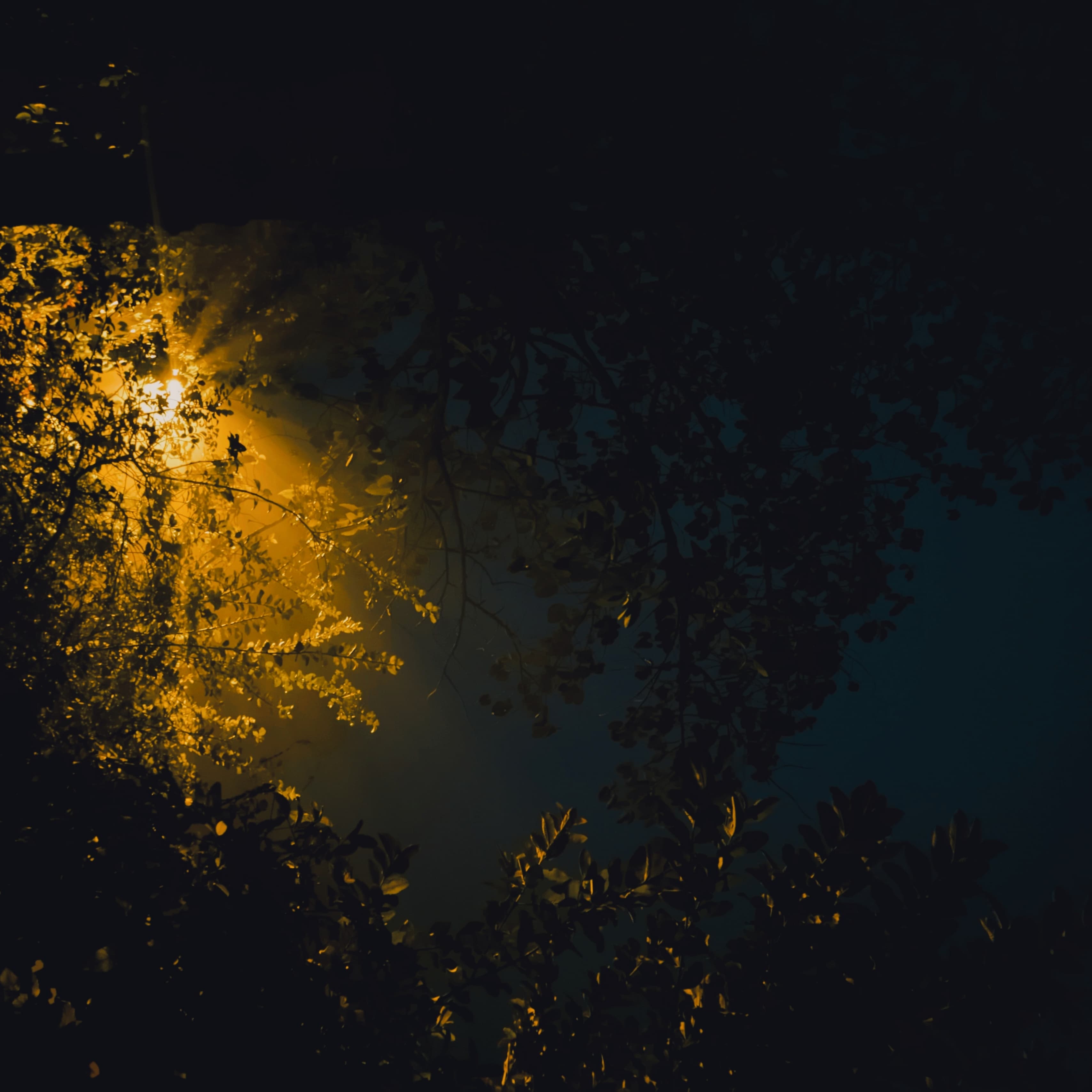 p-2023-07-08-05-54-26-000-1-DNt4mSel