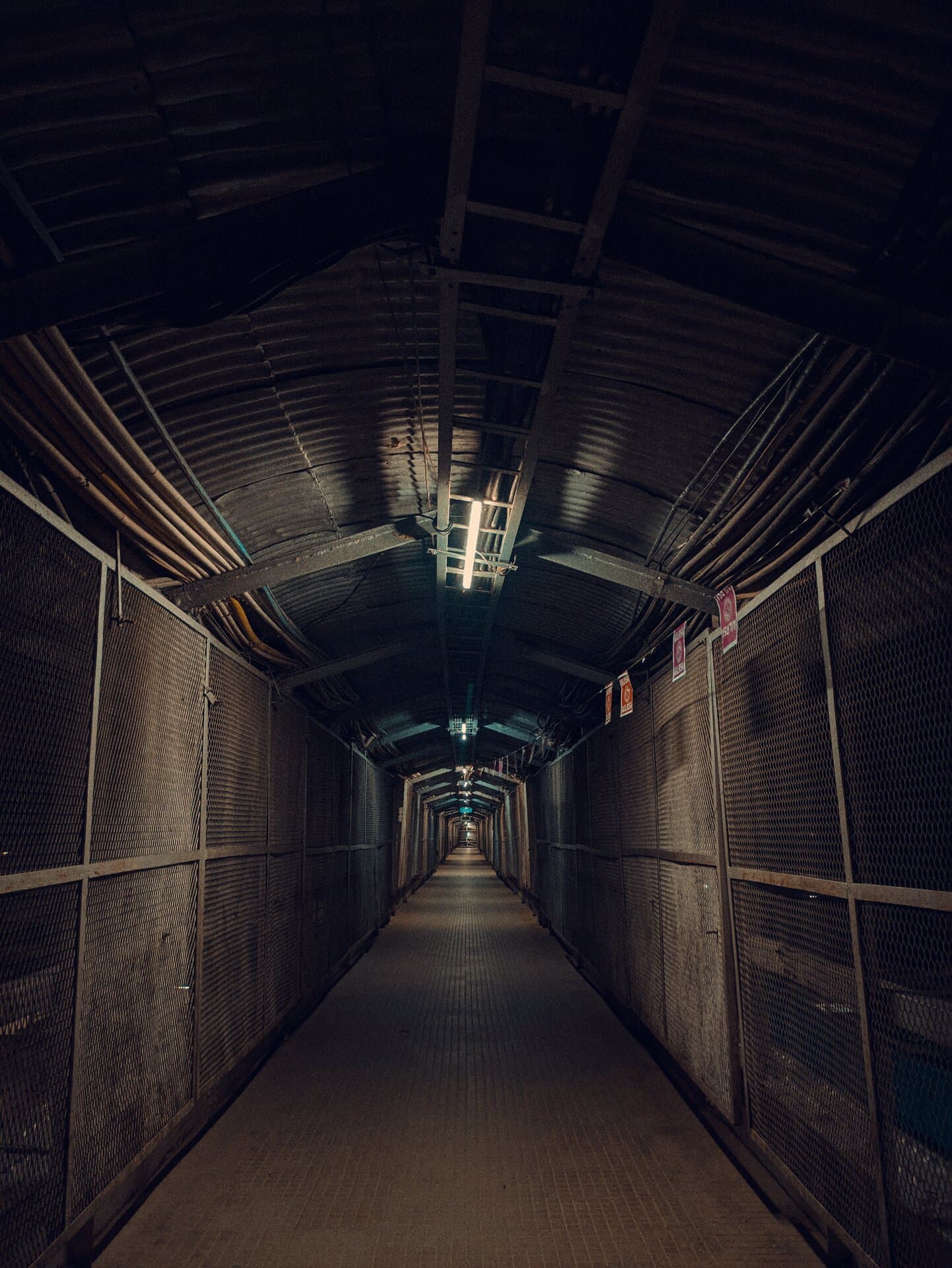 p-2023-08-01-20-17-40-000-1-iVDbR7gx