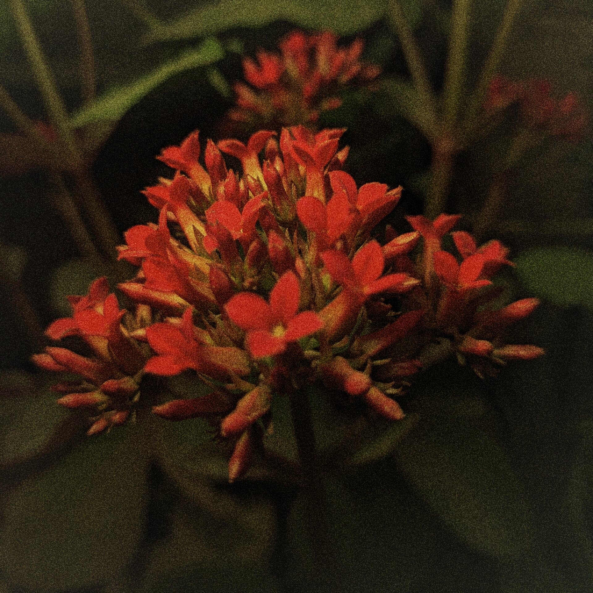 p-2023-08-07-05-54-24-000-1-MH5xw5NQ