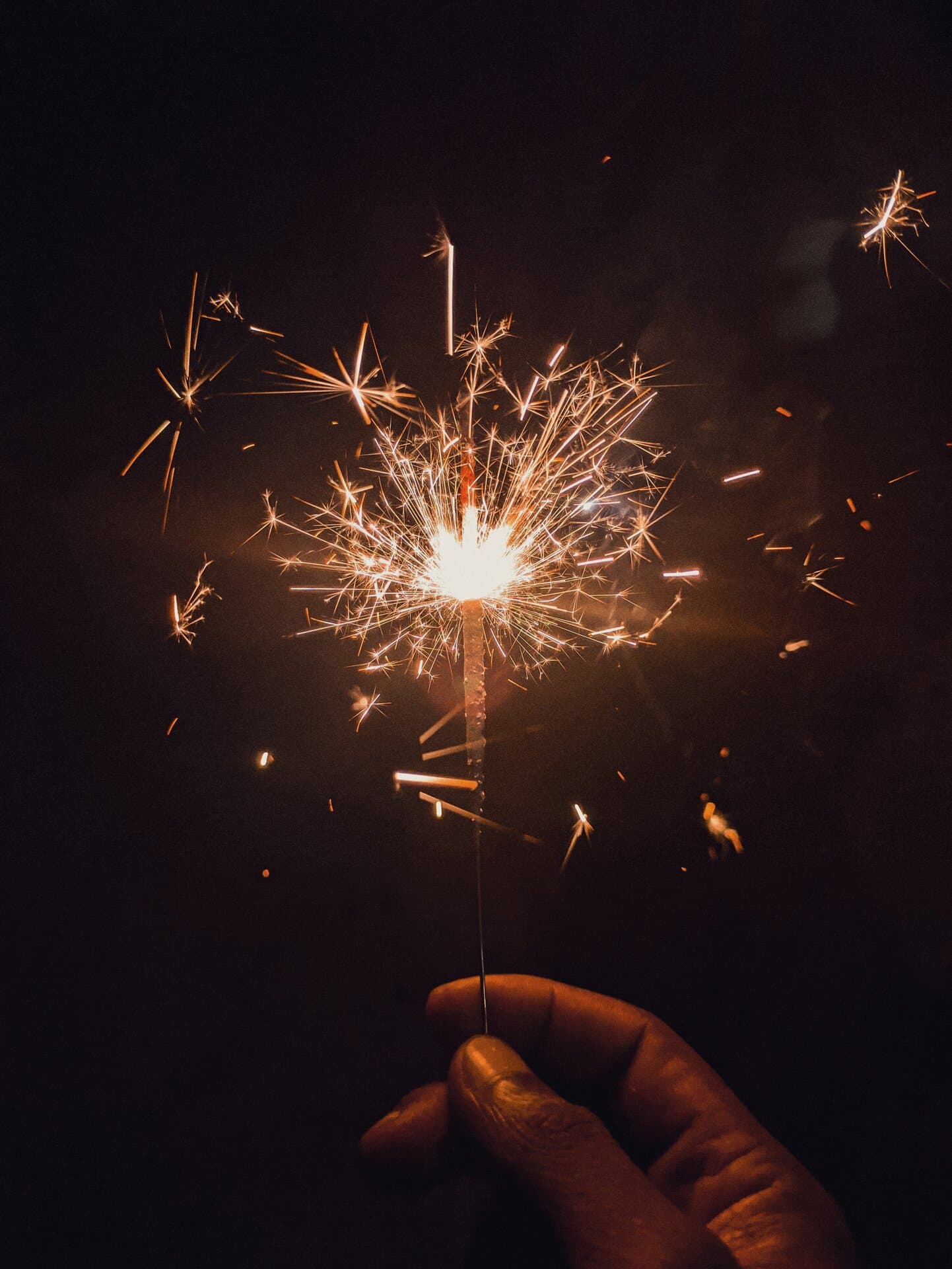 p-2023-11-12-20-46-29-000-1-WZueVX3U