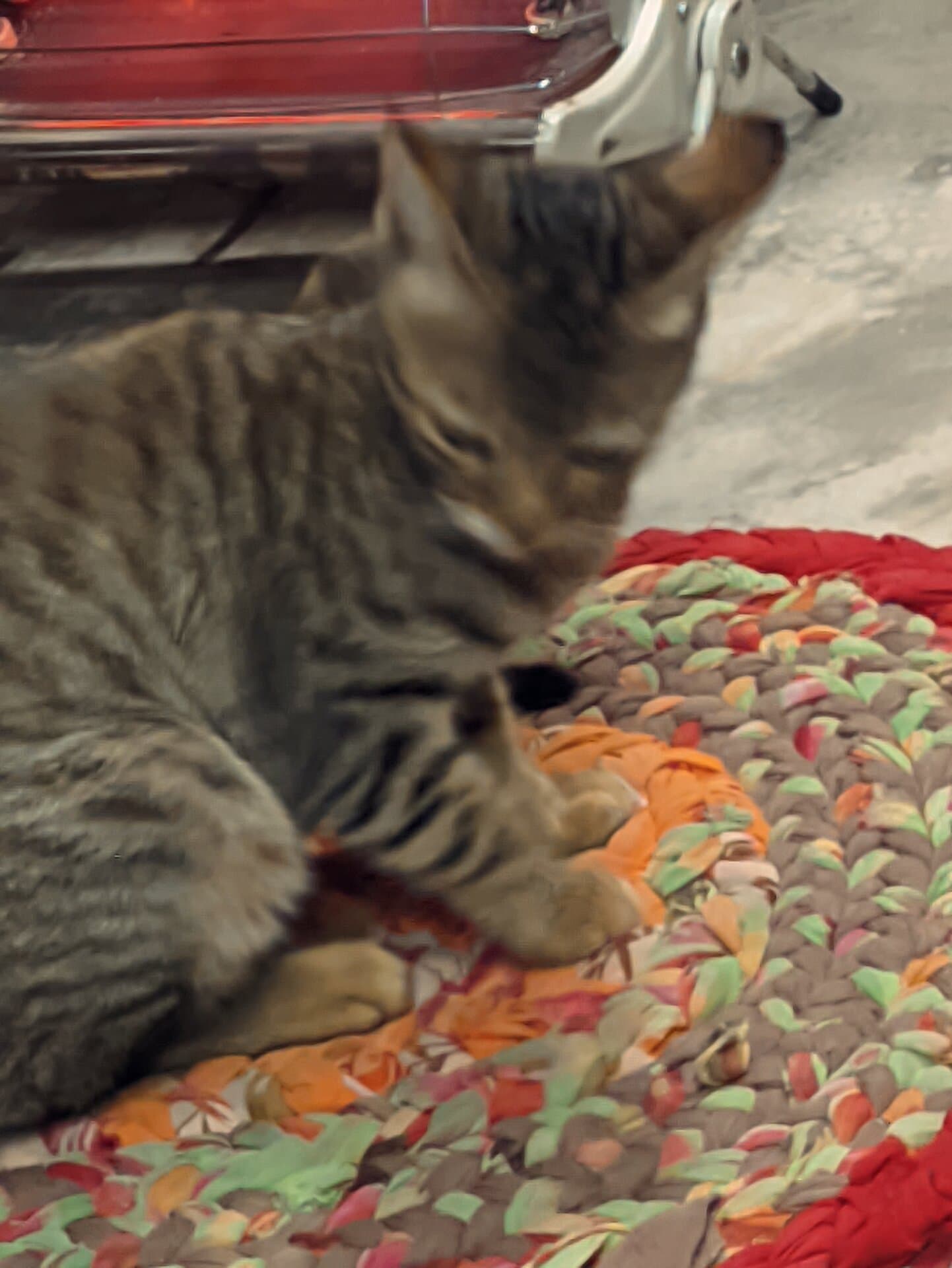 p-2024-01-23-16-13-15-000-1-h5xTl2iG