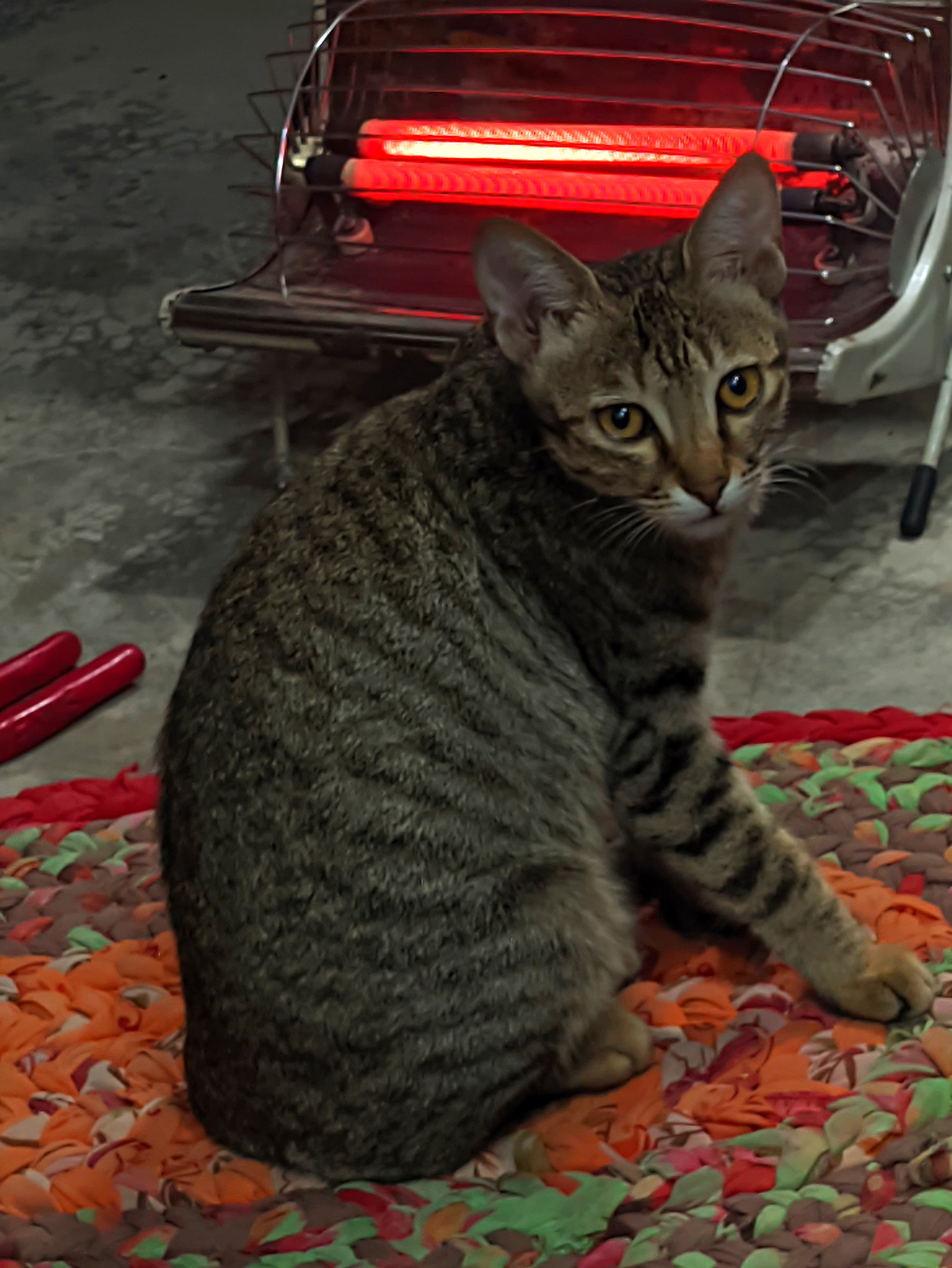 p-2024-01-23-16-16-01-000-1-WQPBRibt