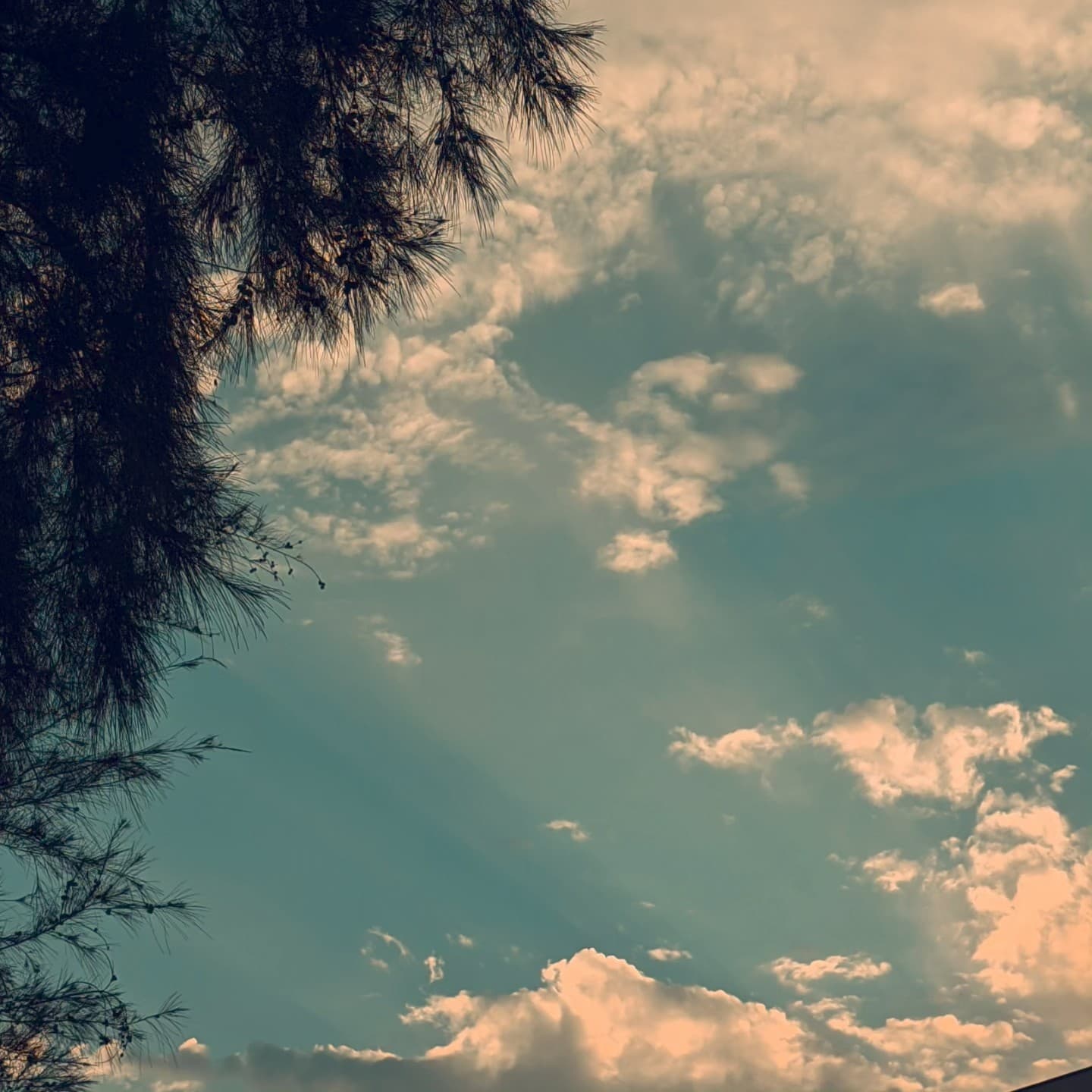 p-2024-04-02-00-00-00-000-1-wTptGggf