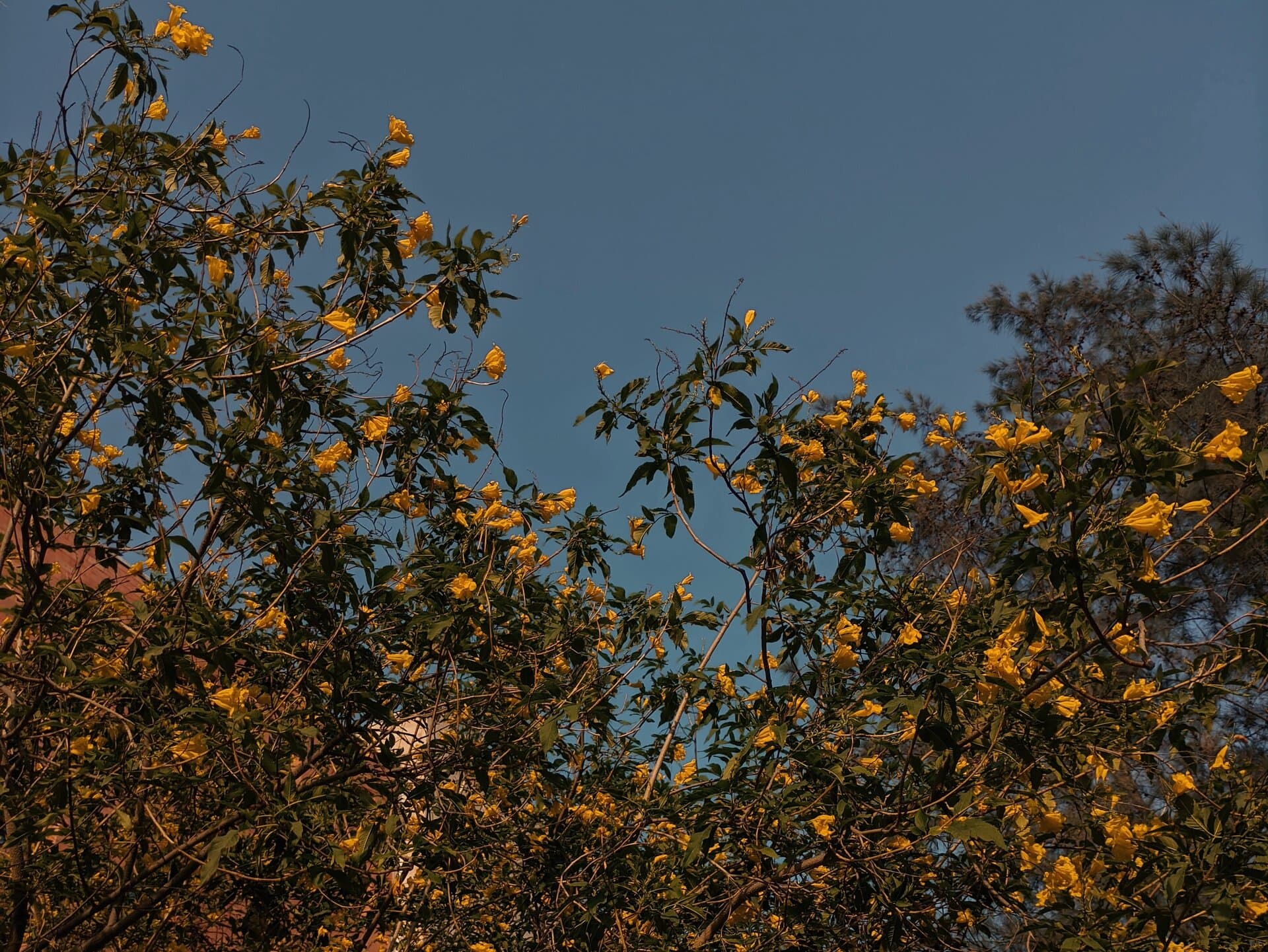 p-2024-05-11-17-26-12-000-1-YOTMwbh0