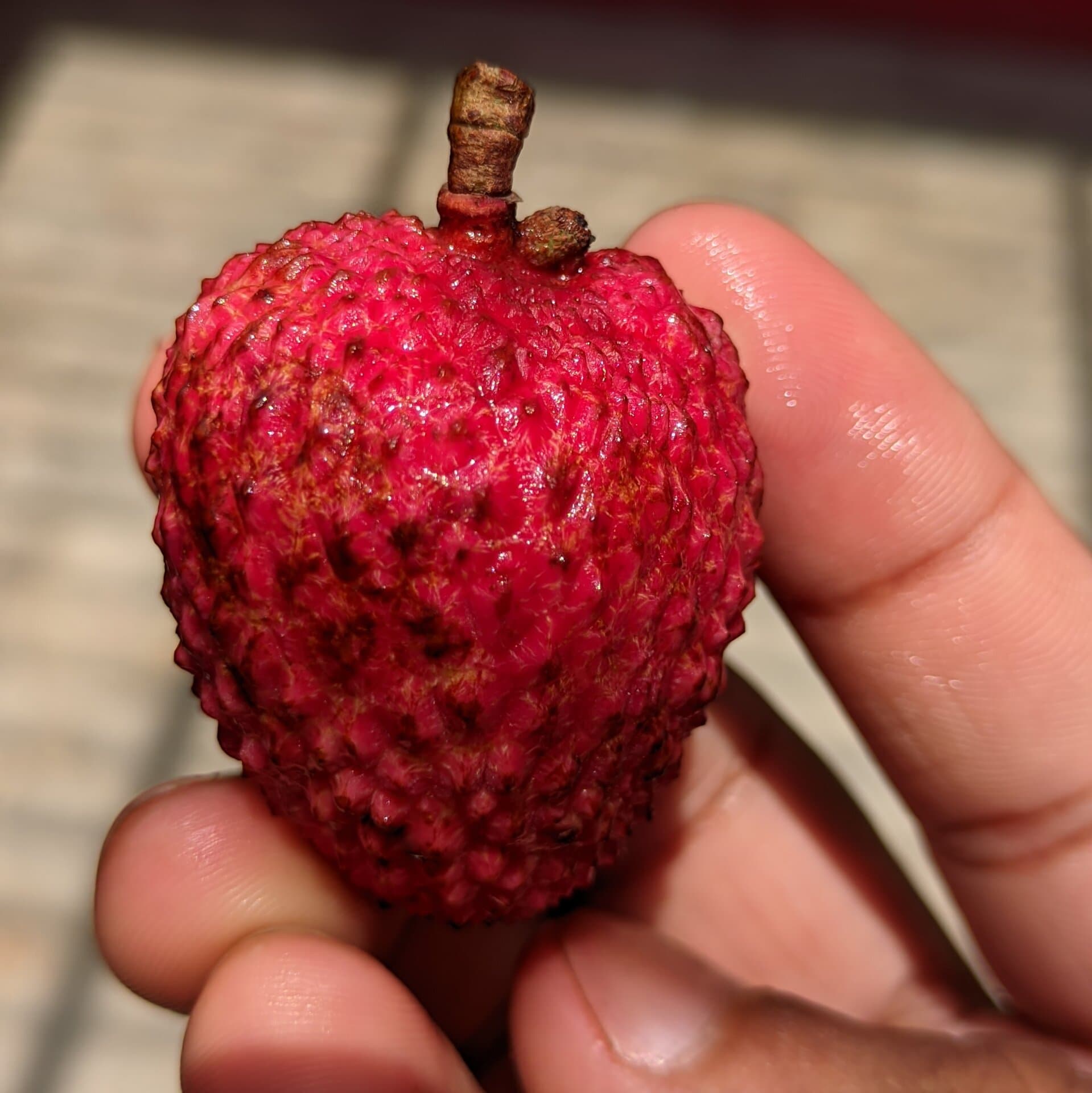 p-2024-06-14-12-44-38-000-1-HdPp8gKH