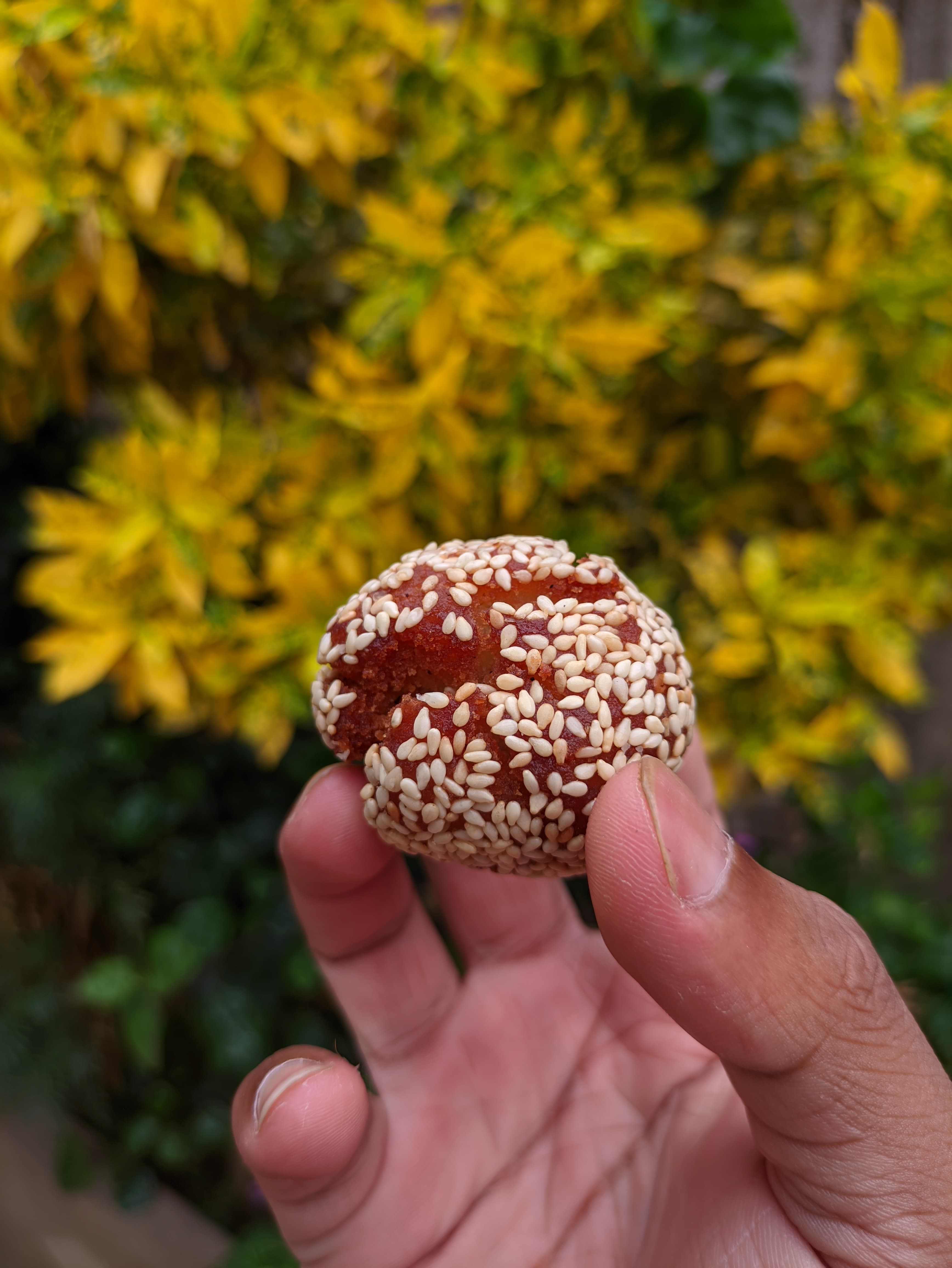 p-2024-06-25-14-24-21-000-1-Ib1bRjy2