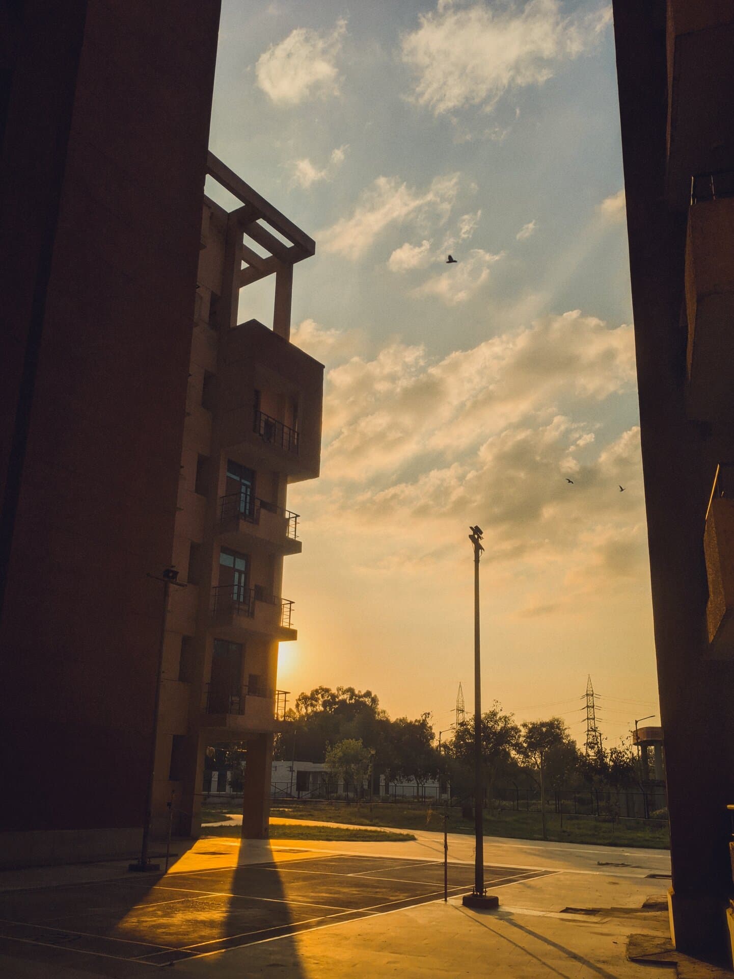 p-2025-03-16-17-53-31-000-1-8R62G3gA