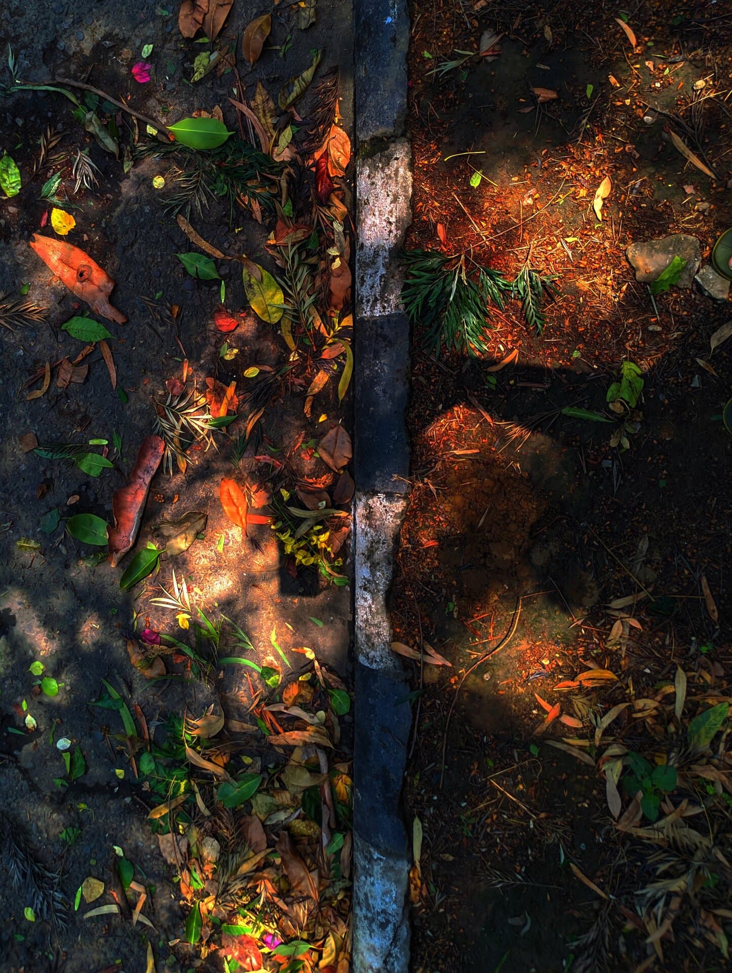 p-2025-05-25-11-34-29-000-1-KVUJSwub