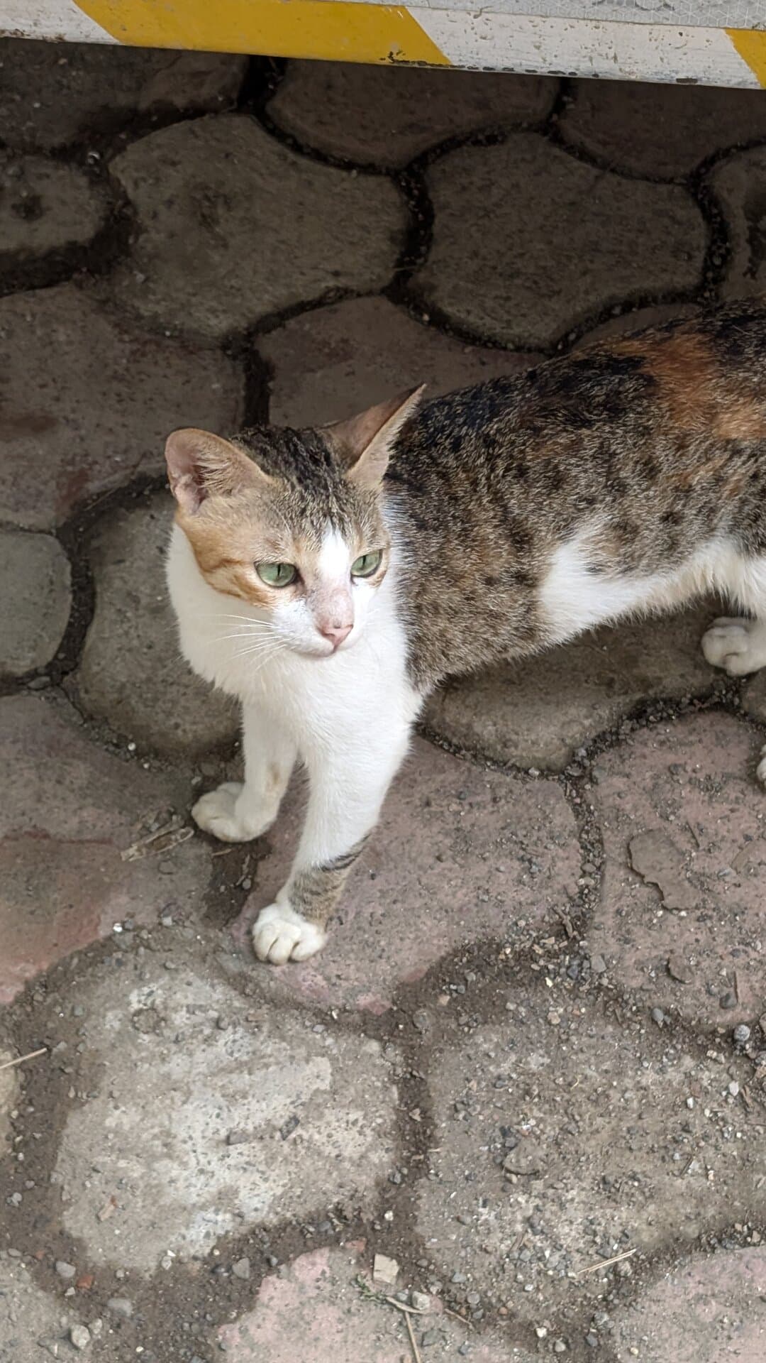 p-2025-09-07-09-40-42-000-1-aLhQkMA6