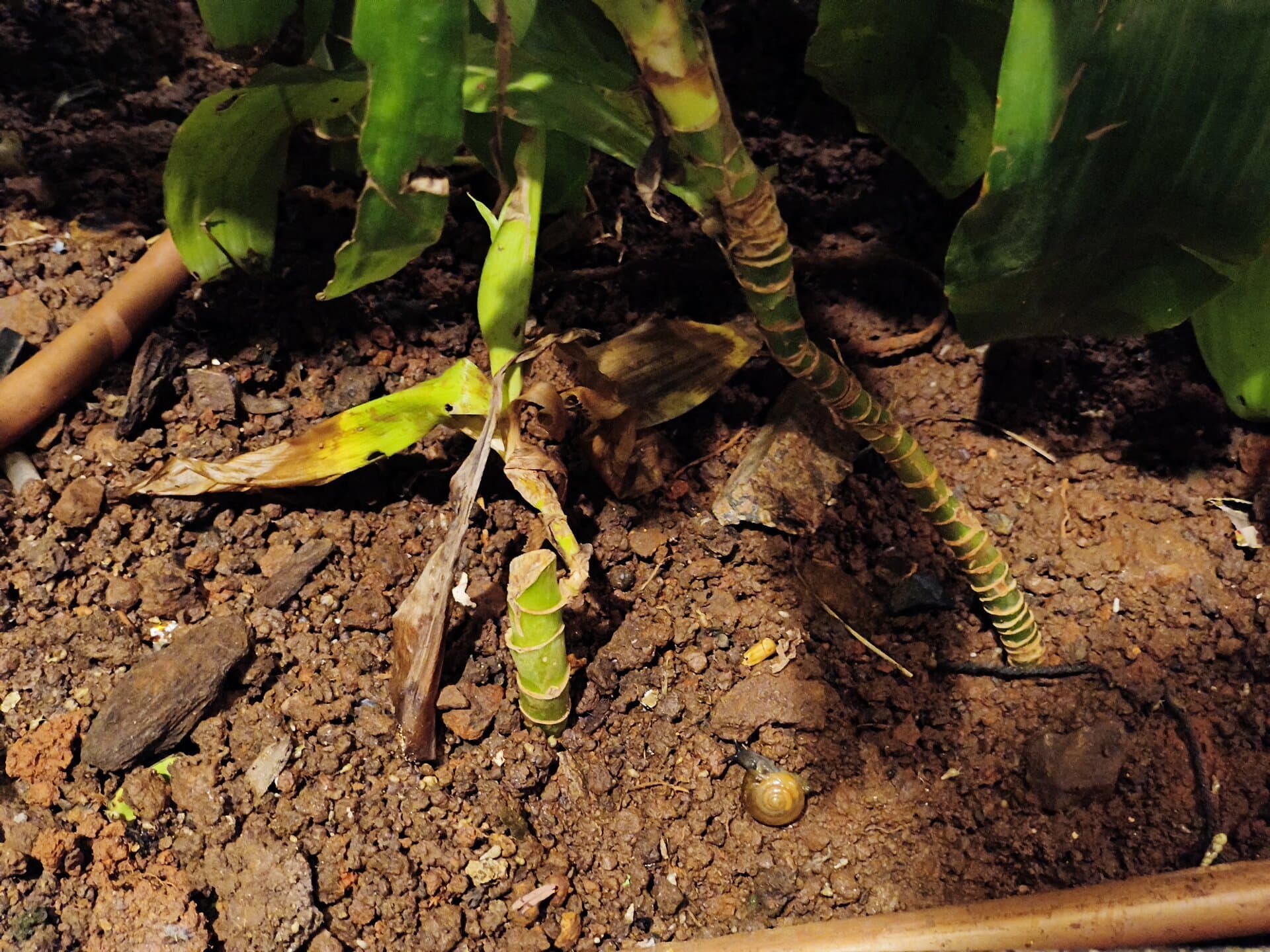 p-2025-09-08-16-48-31-000-1-GpyCUa1Q