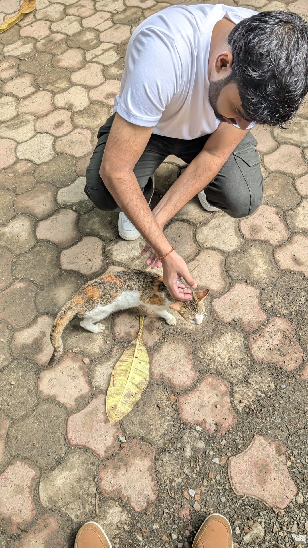 p-2025-09-09-39-13-000-1-ahOsLfIu