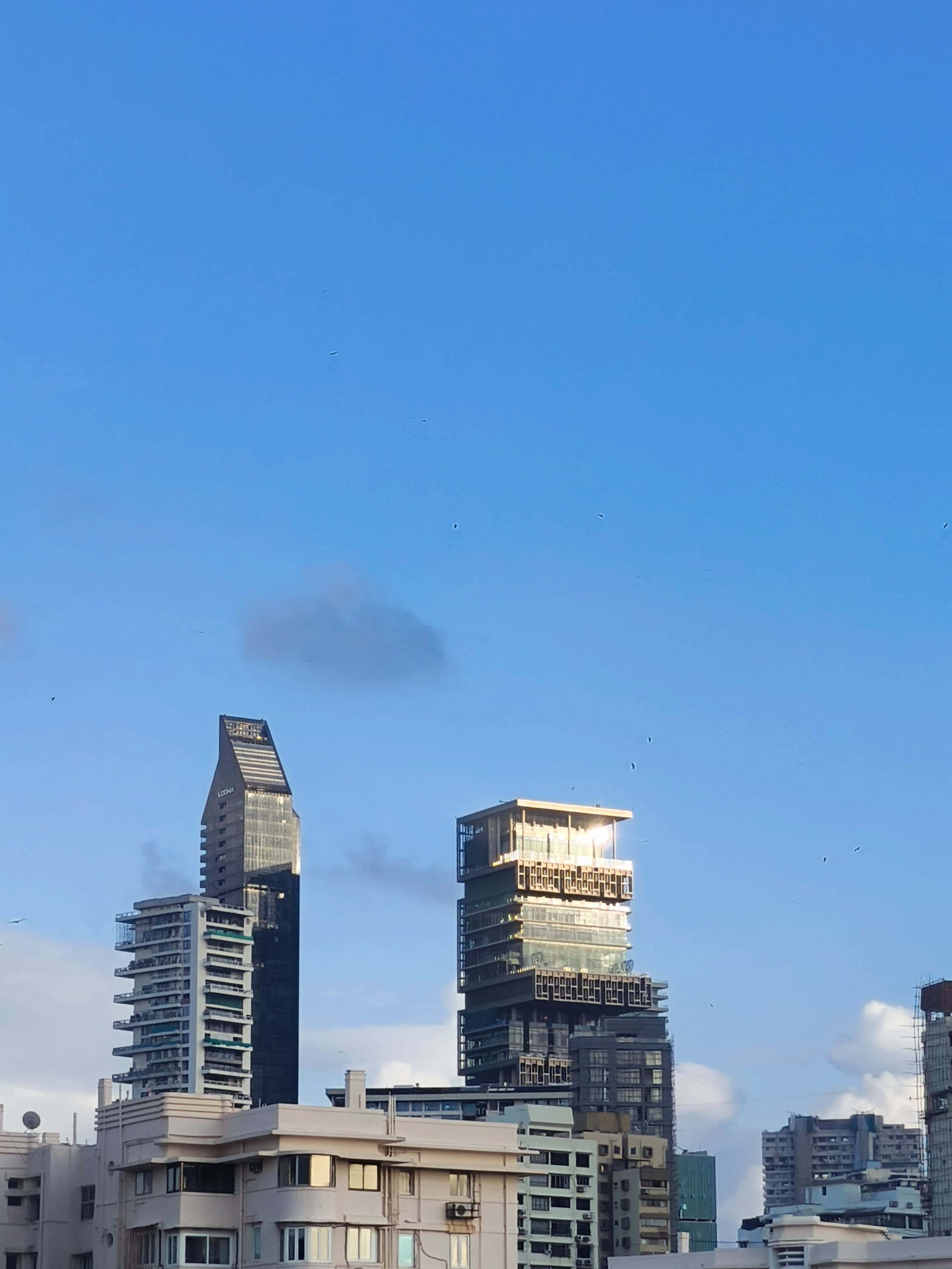 p-2026-01-19-14-03-55-000-1-twVxCw86